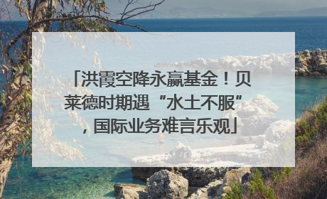 洪霞空降永赢基金！贝莱德时期遇“水土不服”，国际业务难言乐观
