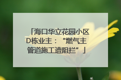 海口华立花园小区D栋业主：“燃气主管道施工遭阻拦”