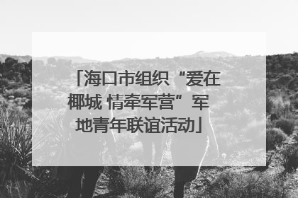 海口市组织“爱在椰城 情牵军营”军地青年联谊活动
