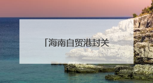 海南自贸港封关在即，先行免税政策成效几何？