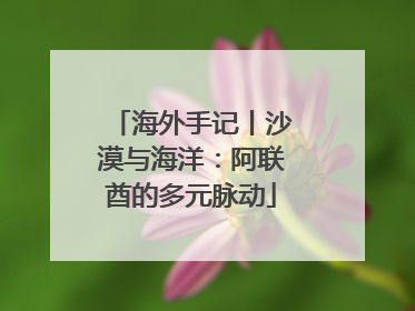海外手记丨沙漠与海洋：阿联酋的多元脉动