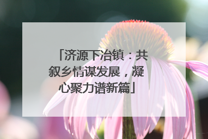 济源下冶镇：共叙乡情谋发展，凝心聚力谱新篇