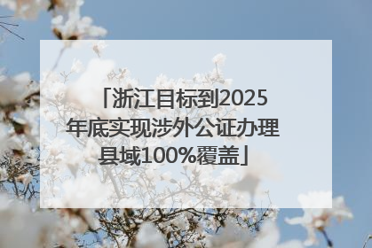 浙江目标到2025年底实现涉外公证办理县域100%覆盖