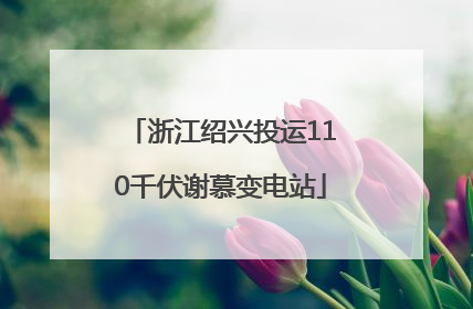 浙江绍兴投运110千伏谢慕变电站