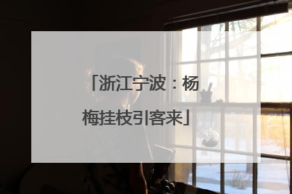 浙江宁波：杨梅挂枝引客来