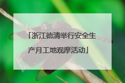 浙江德清举行安全生产月工地观摩活动