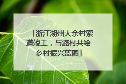浙江湖州大余村索道竣工，与潞村共绘乡村振兴蓝图