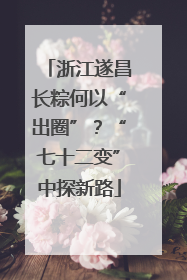 浙江遂昌长粽何以“出圈”？“七十二变”中探新路