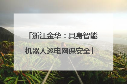 浙江金华：具身智能机器人巡电网保安全