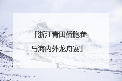 浙江青田侨胞参与海内外龙舟赛