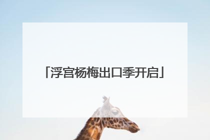 浮宫杨梅出口季开启