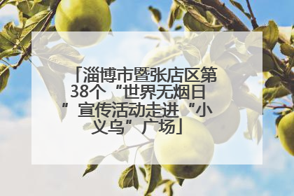 淄博市暨张店区第38个“世界无烟日”宣传活动走进“小义乌”广场