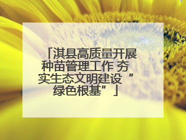淇县高质量开展种苗管理工作 夯实生态文明建设“绿色根基”