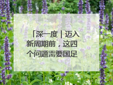 深一度｜迈入新周期前，这四个问题需要国足给出答案