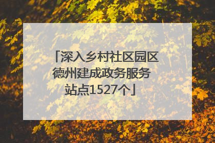 深入乡村社区园区 德州建成政务服务站点1527个