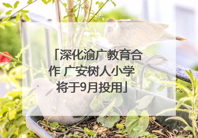 深化渝广教育合作 广安树人小学将于9月投用