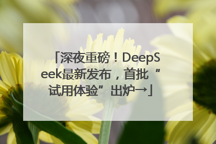 深夜重磅！DeepSeek最新发布，首批“试用体验”出炉→