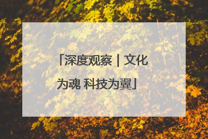 深度观察｜文化为魂 科技为翼