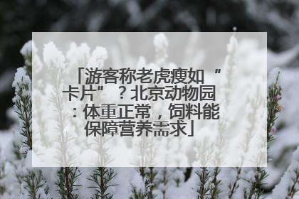 游客称老虎瘦如“卡片”？北京动物园：体重正常，饲料能保障营养需求