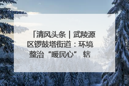 清风头条｜武陵源区锣鼓塔街道：环境整治“暖民心” 辖区面貌“靓”起来
