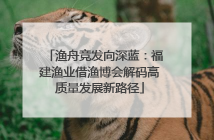 渔舟竞发向深蓝：福建渔业借渔博会解码高质量发展新路径