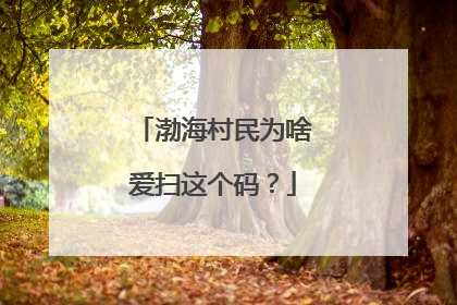 渤海村民为啥爱扫这个码？