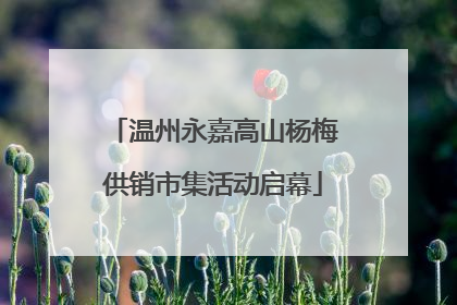 温州永嘉高山杨梅供销市集活动启幕