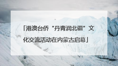 港澳台侨“丹青润北疆”文化交流活动在内蒙古启幕