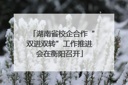 湖南省校企合作“双进双转”工作推进会在衡阳召开