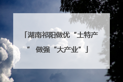 湖南祁阳做优“土特产” 做强“大产业”
