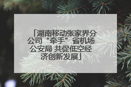 湖南移动张家界分公司“牵手”省机场公安局 共促低空经济创新发展