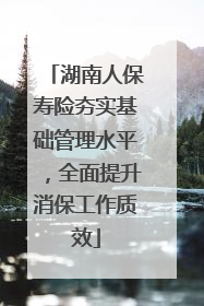 湖南人保寿险夯实基础管理水平，全面提升消保工作质效