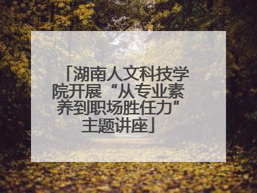 湖南人文科技学院开展“从专业素养到职场胜任力”主题讲座