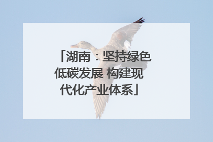 湖南：坚持绿色低碳发展 构建现代化产业体系