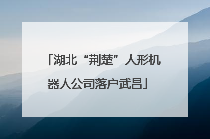 湖北“荆楚”人形机器人公司落户武昌