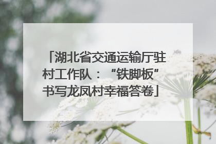 湖北省交通运输厅驻村工作队：“铁脚板”书写龙凤村幸福答卷
