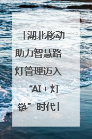 湖北移动助力智慧路灯管理迈入“AI＋灯链”时代