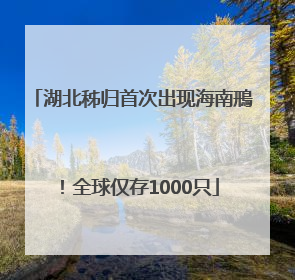 湖北秭归首次出现海南鳽！全球仅存1000只