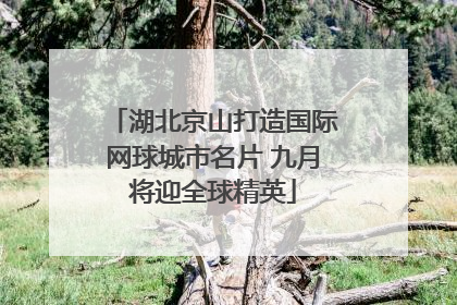 湖北京山打造国际网球城市名片 九月将迎全球精英