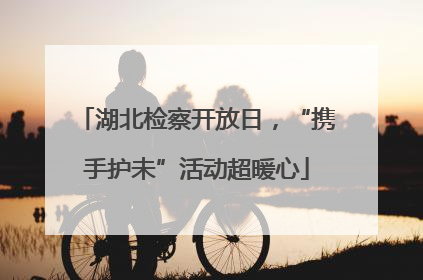 湖北检察开放日，“携手护未”活动超暖心