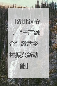 湖北远安：“三产融合”激活乡村振兴新动能