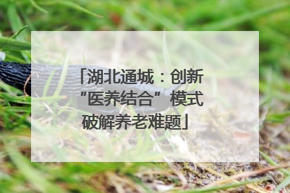 湖北通城：创新 “医养结合”模式 破解养老难题