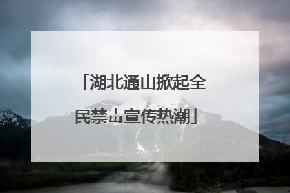 湖北通山掀起全民禁毒宣传热潮