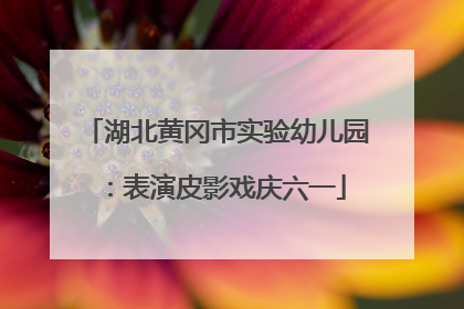 湖北黄冈市实验幼儿园：表演皮影戏庆六一
