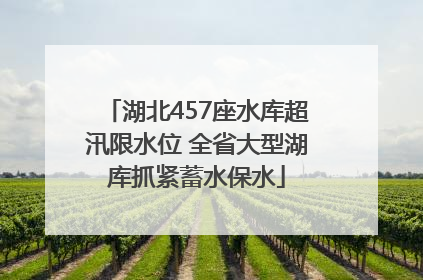 湖北457座水库超汛限水位 全省大型湖库抓紧蓄水保水