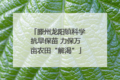 滕州龙阳镇科学抗旱保苗 力保万亩农田“解渴”