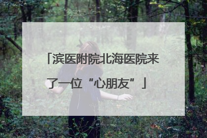 滨医附院北海医院来了一位“心朋友”