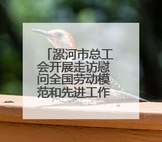 漯河市总工会开展走访慰问全国劳动模范和先进工作者活动