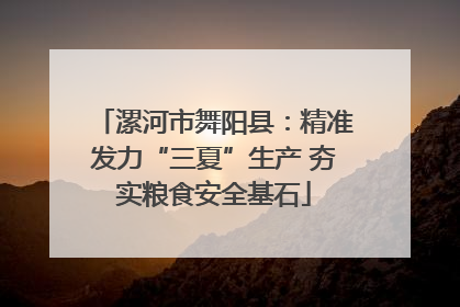 漯河市舞阳县：精准发力“三夏”生产 夯实粮食安全基石