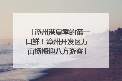 漳州港夏季的第一口鲜！漳州开发区万亩杨梅迎八方游客